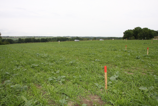 Byggeudstillingen Byg & Bo til Galten-Skovby