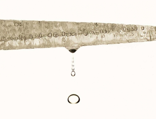 Lokal fotograf udstilller