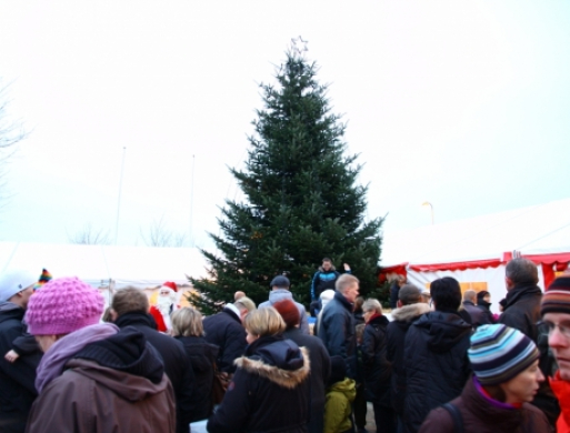 Galtens juletræ hentes på Silkeborgvej