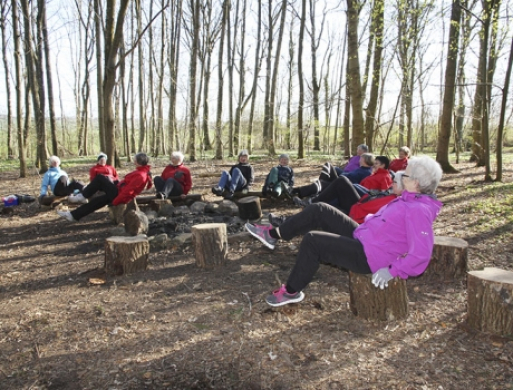 Seniorgymnastik under trækronerne