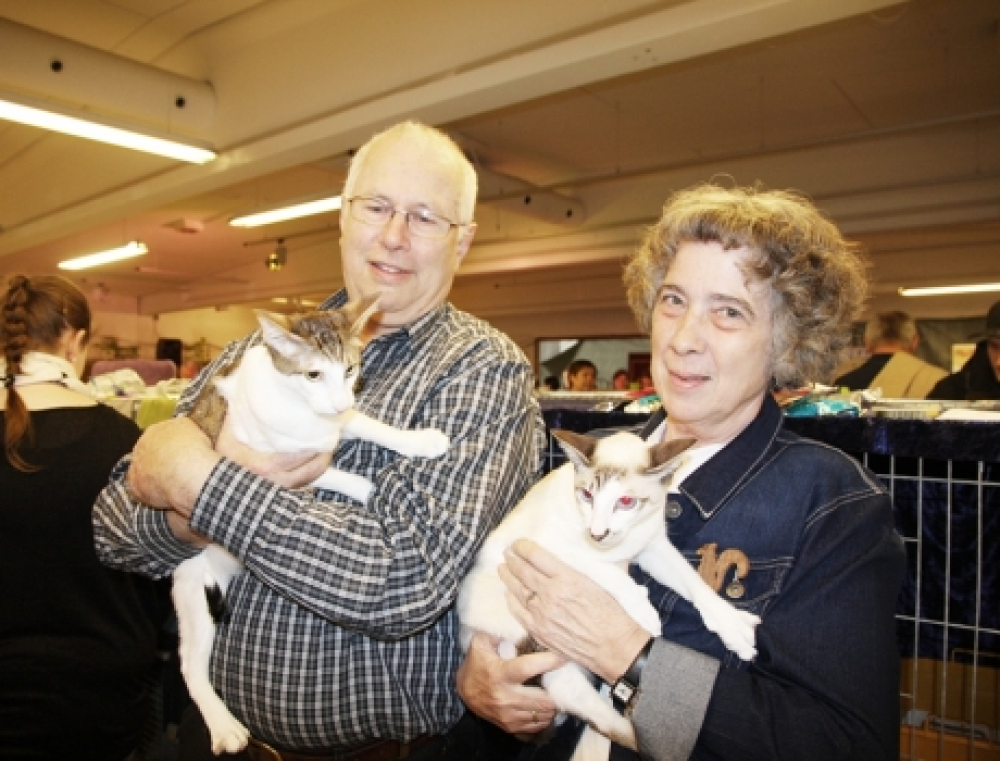 Katteudstilling blev et tilløbsstykke