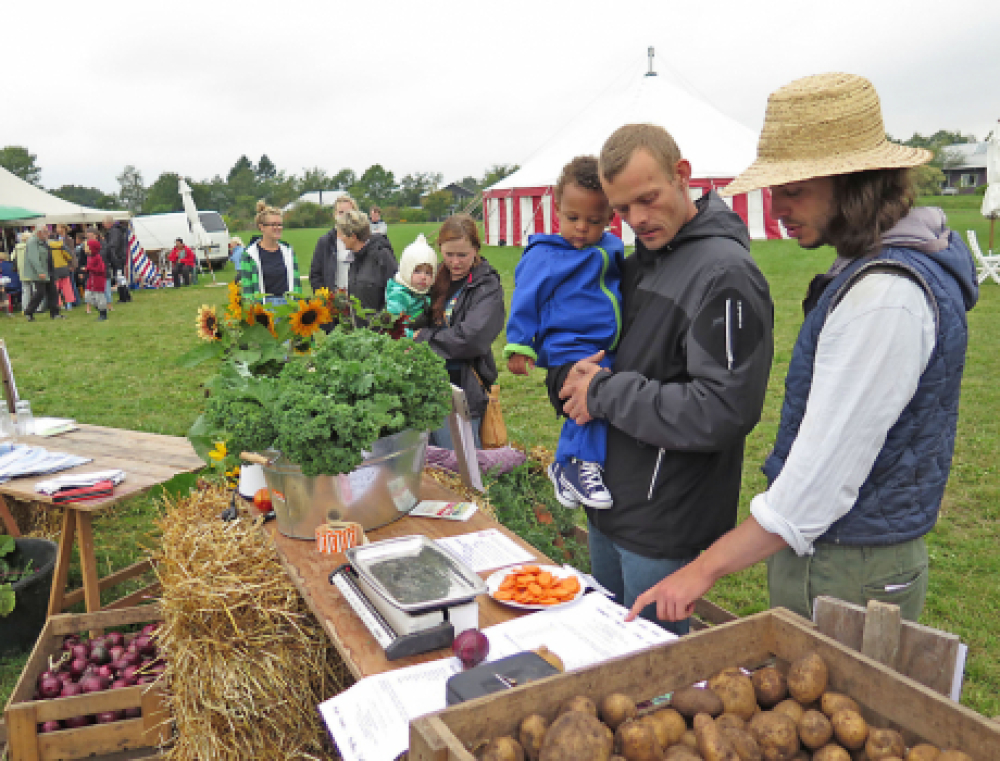 Høstmarked hos Hertha