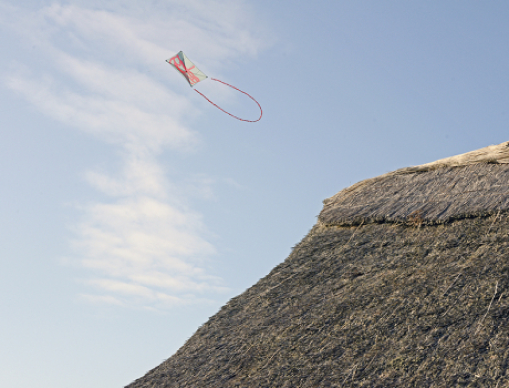 Drageflyvning ved Borum Eshøj
