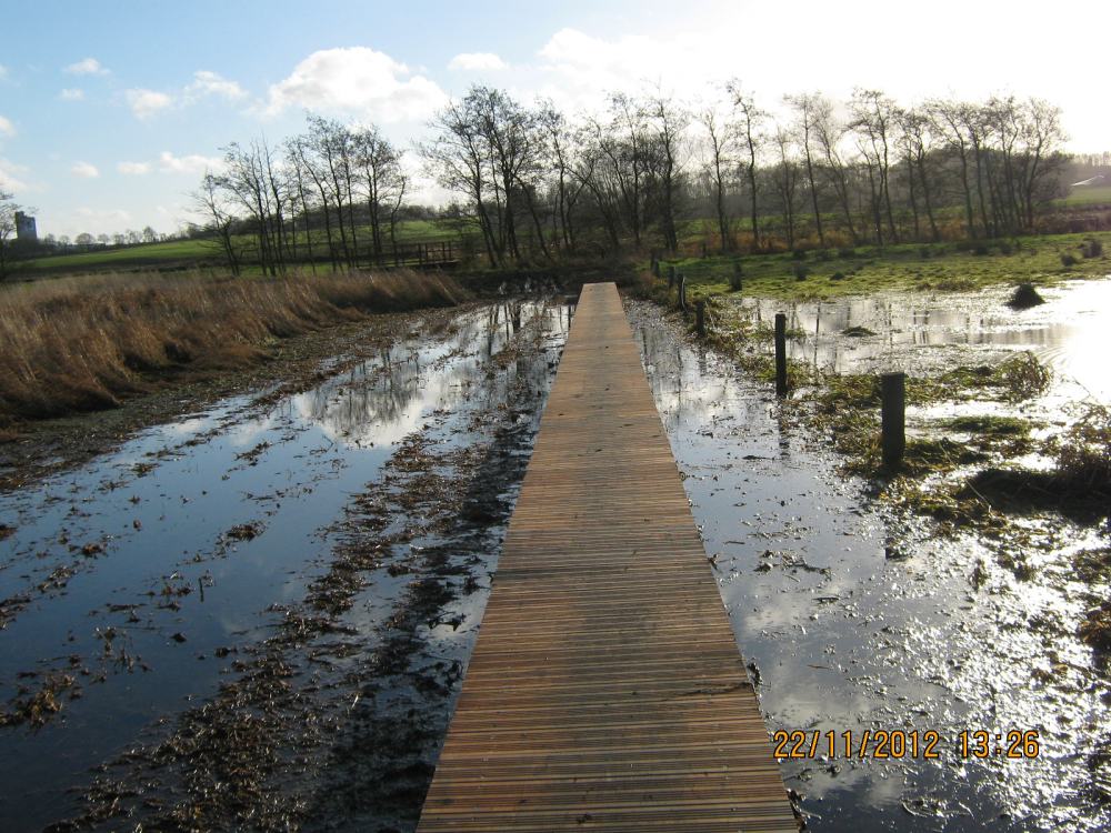 Træstier klar på  kommende naturrute