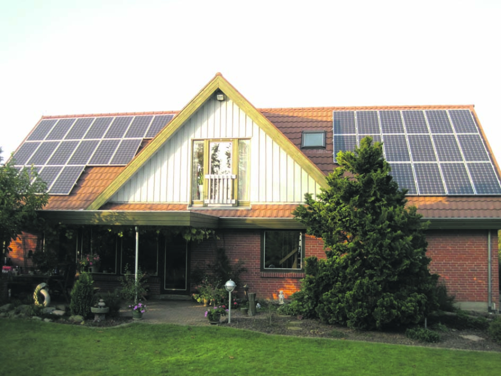 Fed fidus med grøn gevinst