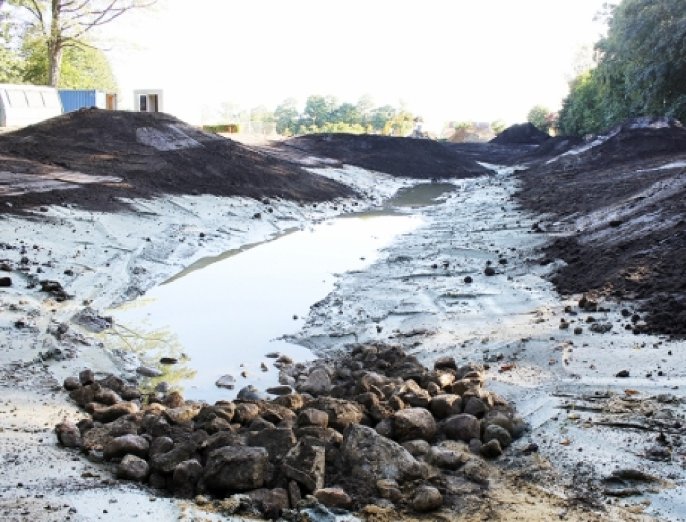 En hjælpende hånd fra naturen