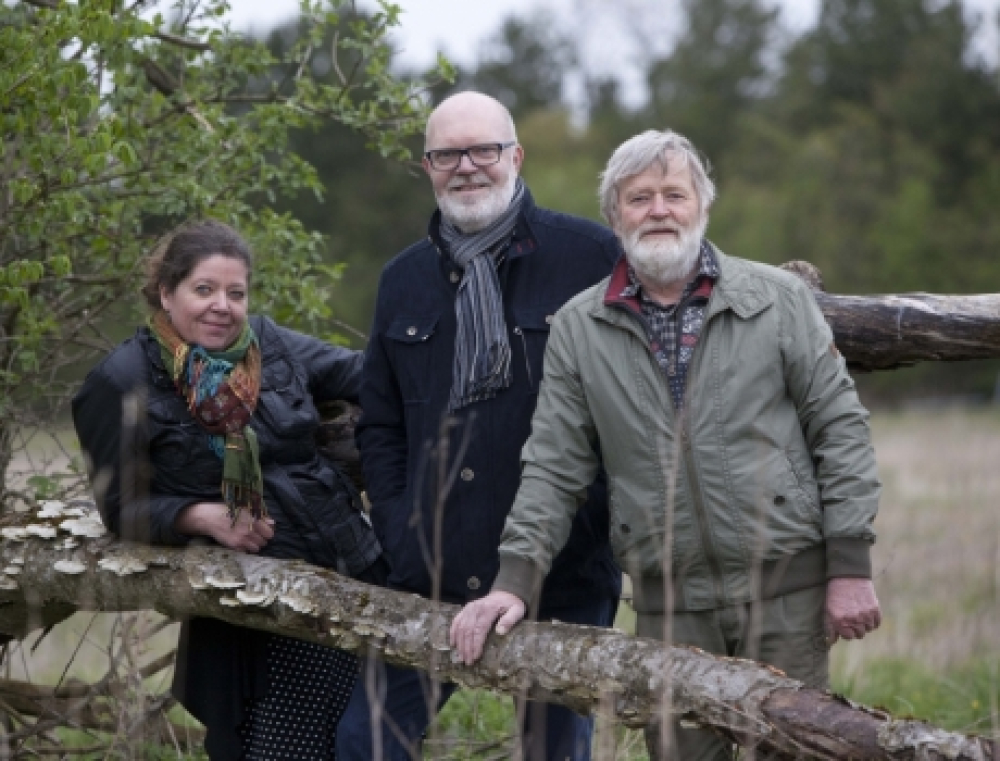 Lokale kunstnere udstiller "naturligheder"