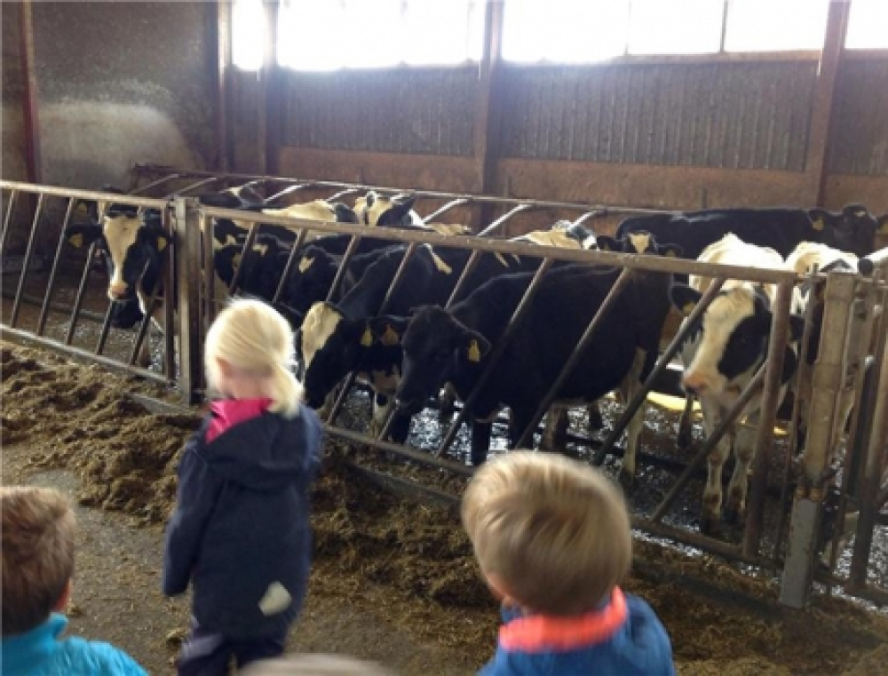 Et lærerigt 'Jord til bord'-projekt