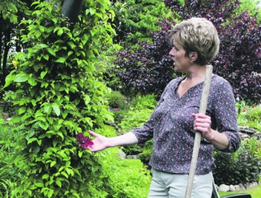 Haven er Tinas altoverskyggende passion