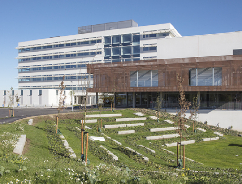 Første arbejdsdag  i det nye rådhus