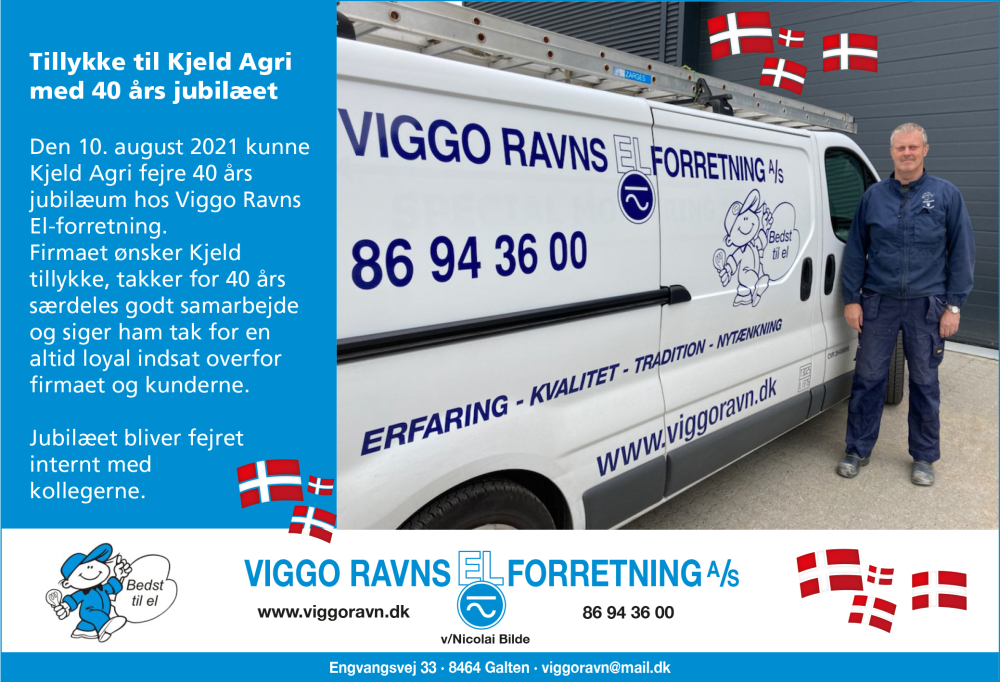 Viggo Ravns Elforretning